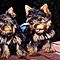Free-charming-teacup-yorkie-puppies-available-now